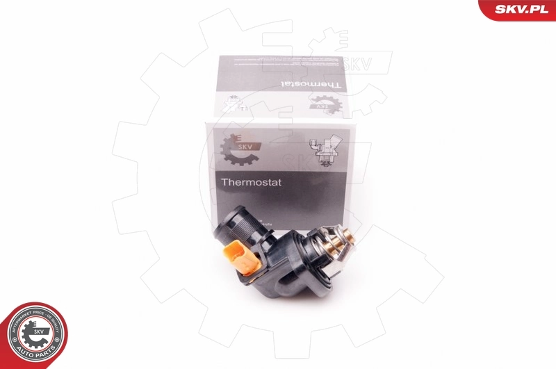 Thermostat, coolant